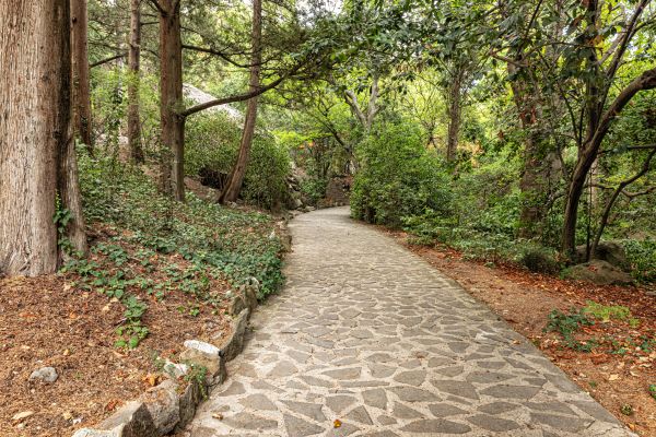 Stone Walkway Repair in Wylie
