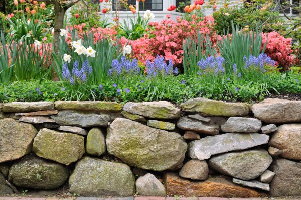 Stone Wall Hardscaping in Wylie