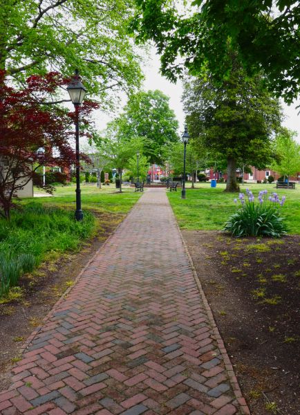 Brick Pathway Repair in Wylie